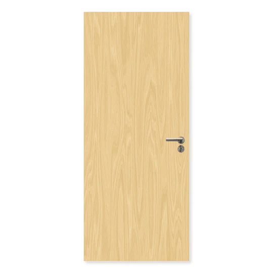 FDR FD60 External Plywood Paint Grade Flush Fire door – firedoorrange